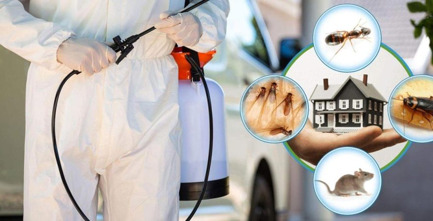 Evka 4 Böcek İlaçlama