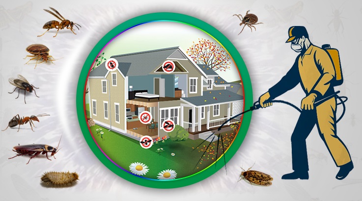 Evka 4 Böcek İlaçlama