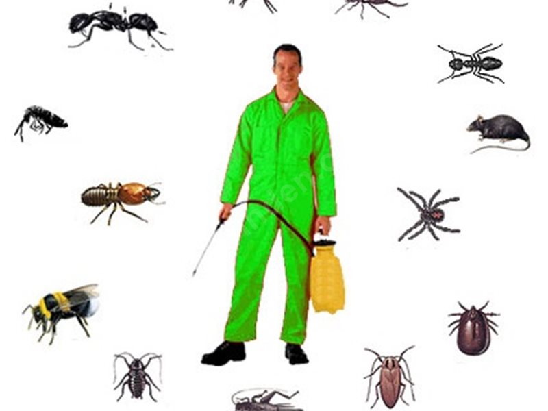 Evka 4 Böcek İlaçlama